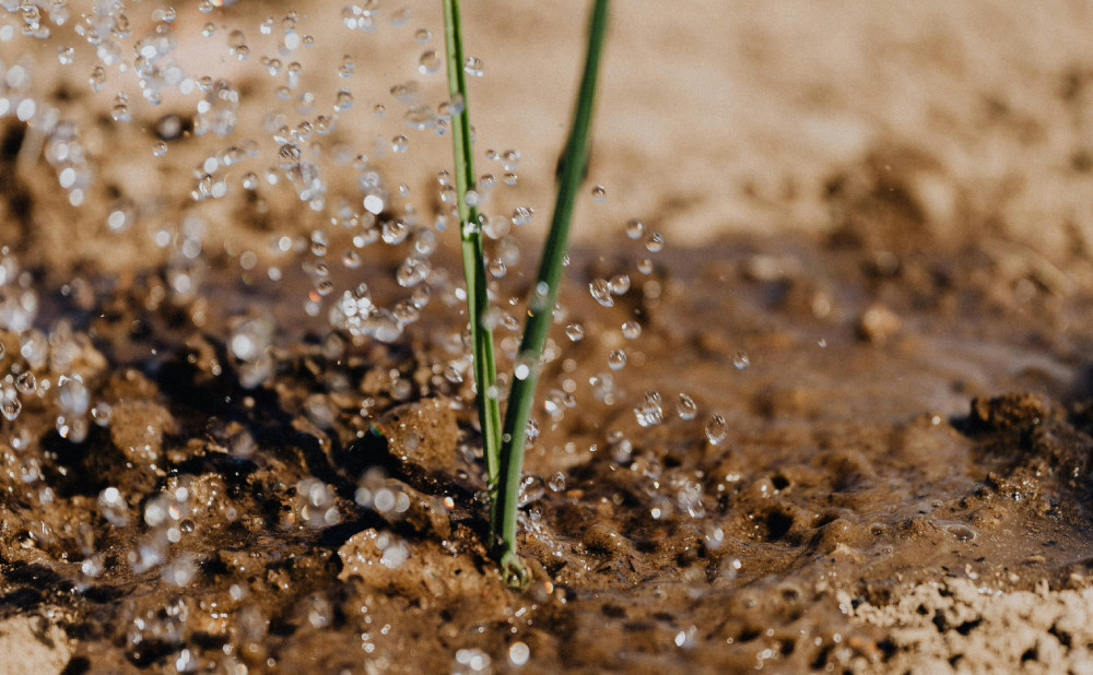 sustav-za-navodnjavanje-2