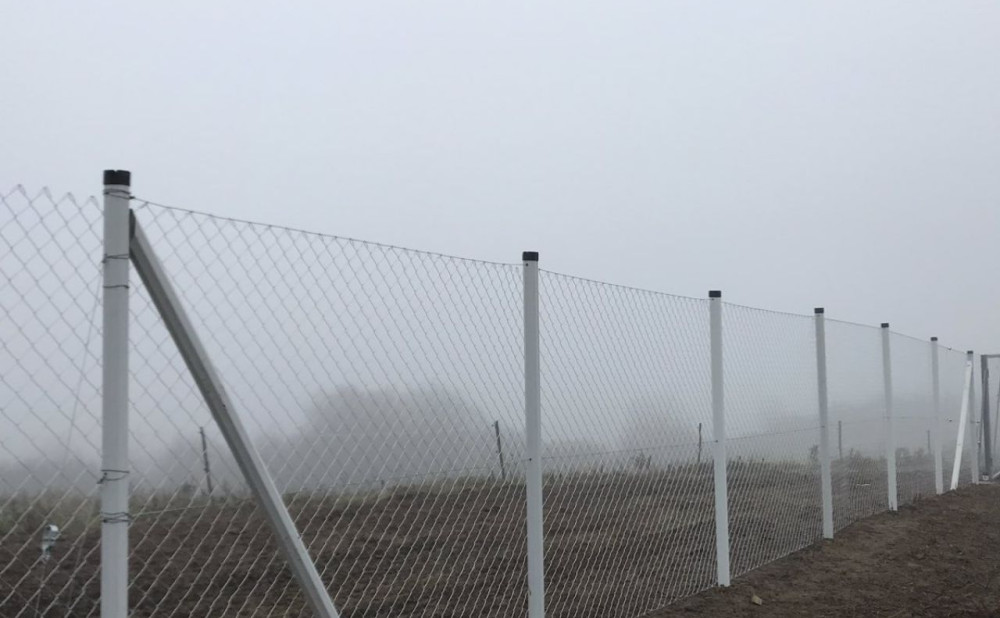 75f734d6bf9bafe9356685972944b0d1