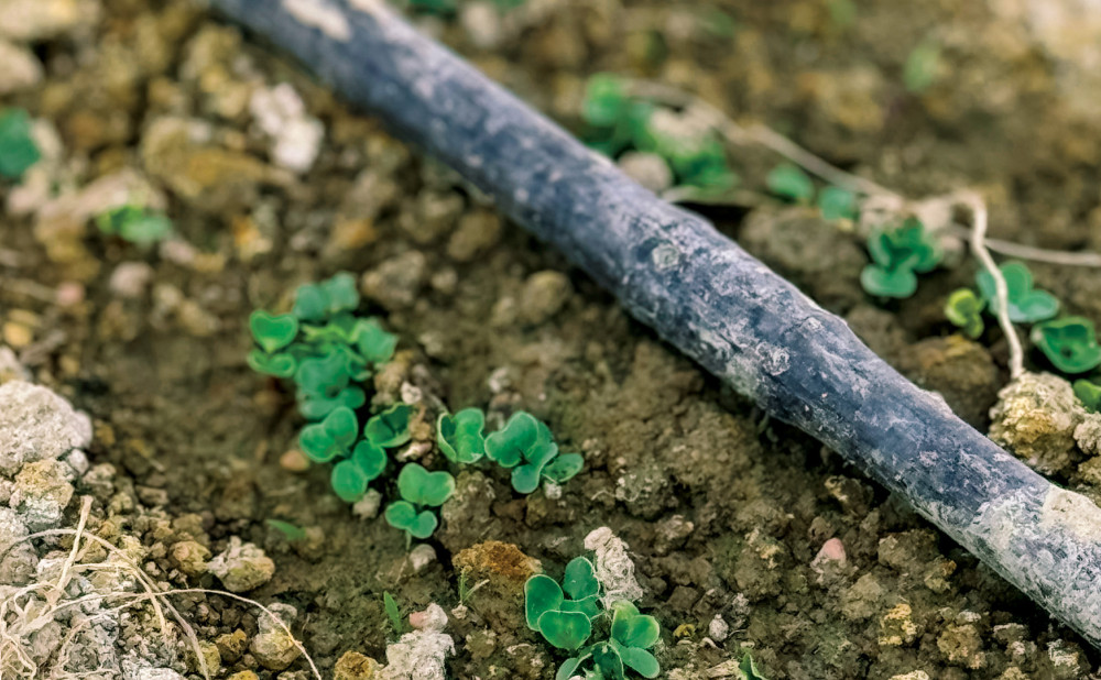 Moj Gruntek i Termoplast: 80.000 metara cijevi za održivu proizvodnju hrane