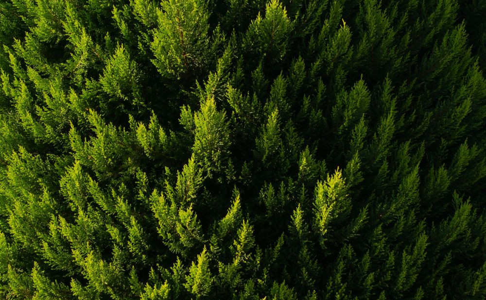 Sustavi za navodnjavanje