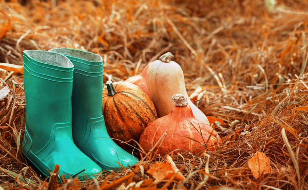 Kako pripremiti vrt i navodnjavanje za zimu: vodič za kolce, plastenike i sustave