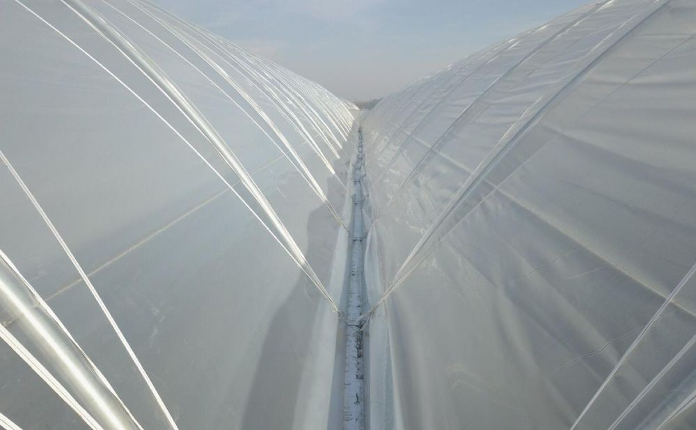 Koja je najbolja folija za plastenik?