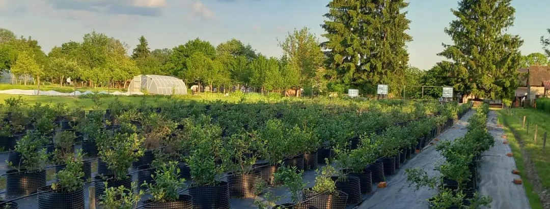 Sustavi navodnjavanja